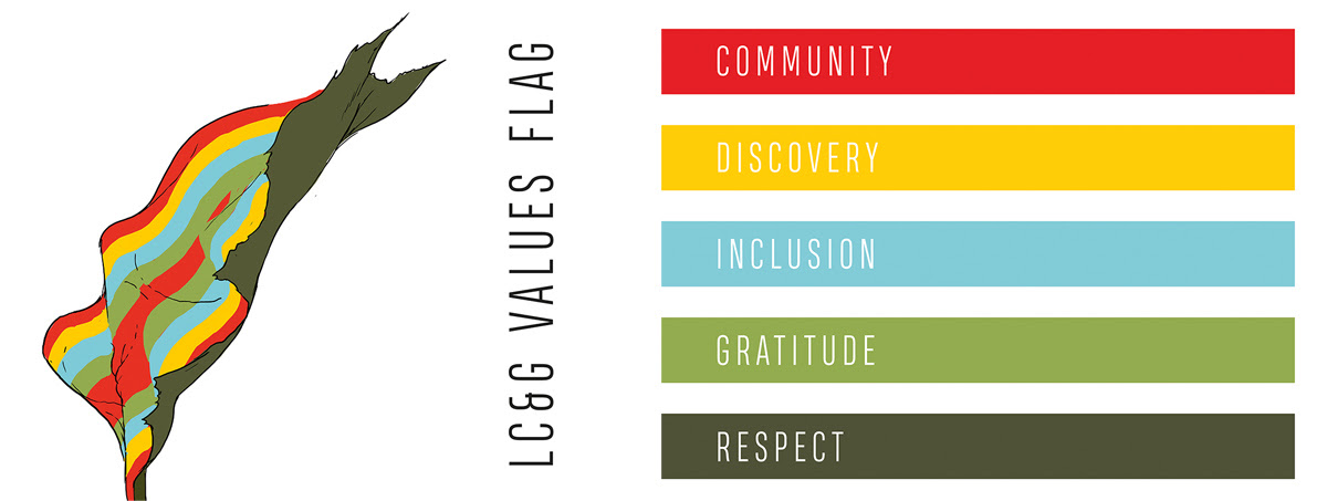 Values flag